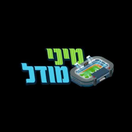 ממלא מקום